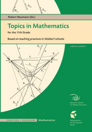 Kniha Topics in Mathematics for the Eleventh Grade 