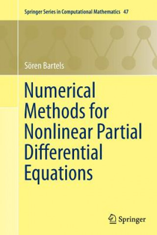 Kniha Numerical Methods for Nonlinear Partial Differential Equations Soren Bartels