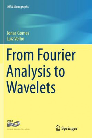 Knjiga From Fourier Analysis to Wavelets Jonas Gomes