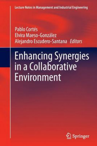 Buch Enhancing Synergies in a Collaborative Environment Pablo Cortés