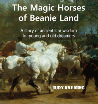 Kniha Magic Horses of Beanie Land Judy Kay King