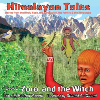 Buch Zoro and the Witch Alan Greenwell