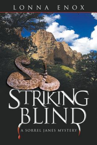Boek Striking Blind Lonna Enox