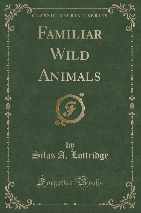 Książka Familiar Wild Animals (Classic Reprint) Silas A. Lottridge