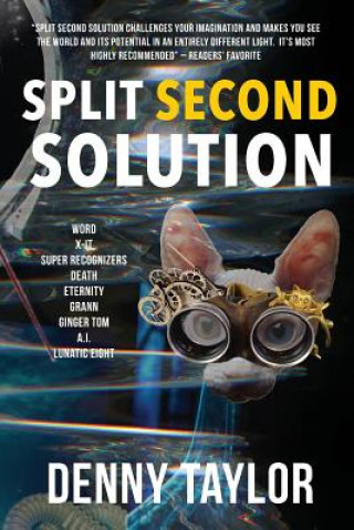 Buch Split Second Solution Denny Taylor