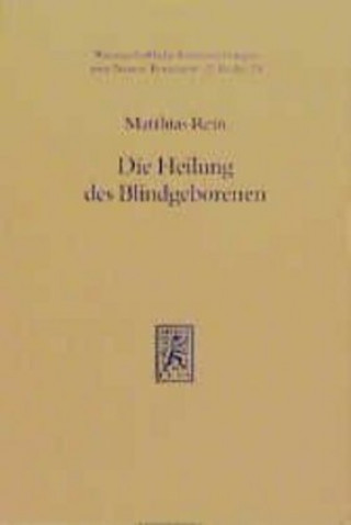 Kniha Die Heilung des Blindgeborenen (Joh 9) Matthias Rein