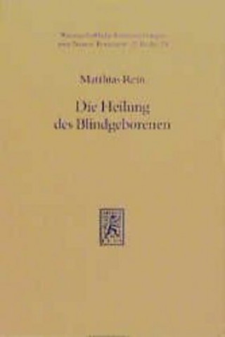 Książka Die Heilung des Blindgeborenen (Joh 9) Matthias Rein