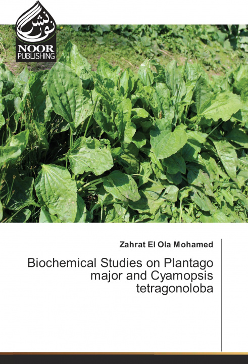 Kniha Biochemical Studies on Plantago major and Cyamopsis tetragonoloba Zahrat El Ola Mohamed