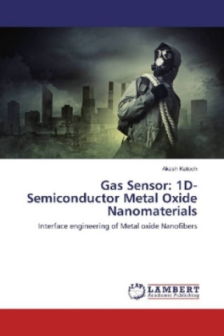 Könyv Gas Sensor: 1D-Semiconductor Metal Oxide Nanomaterials Akash Katoch