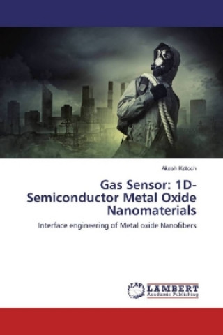 Libro Gas Sensor: 1D-Semiconductor Metal Oxide Nanomaterials Akash Katoch