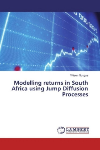 Könyv Modelling returns in South Africa using Jump Diffusion Processes Wilson Mongwe