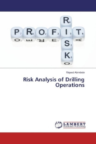 Kniha Risk Analysis of Drilling Operations Majeed Abimbola