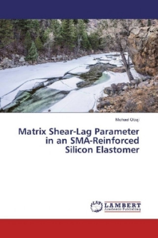Kniha Matrix Shear-Lag Parameter in an SMA-Reinforced Silicon Elastomer Michael Obaji