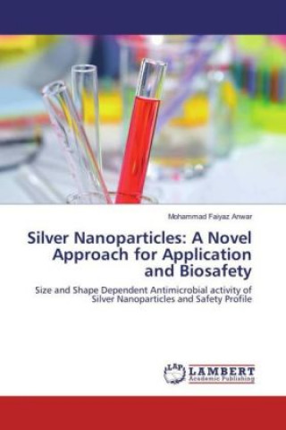 Książka Silver Nanoparticles: A Novel Approach for Application and Biosafety Mohammad Faiyaz Anwar