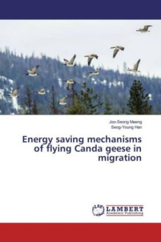 Carte Energy saving mechanisms of flying Canda geese in migration Joo-Seong Maeng