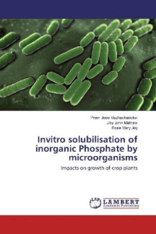 Könyv Invitro solubilisation of inorganic Phosphate by microorganisms Prem Jose Vazhacharickal