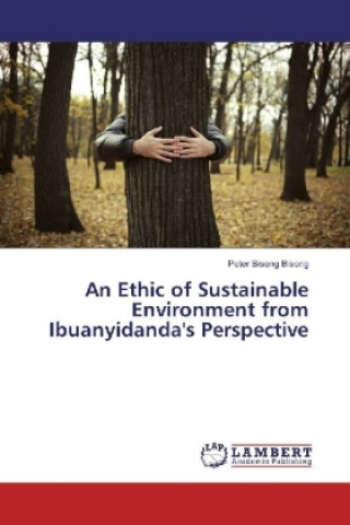 Buch An Ethic of Sustainable Environment from Ibuanyidanda's Perspective Peter Bisong Bisong