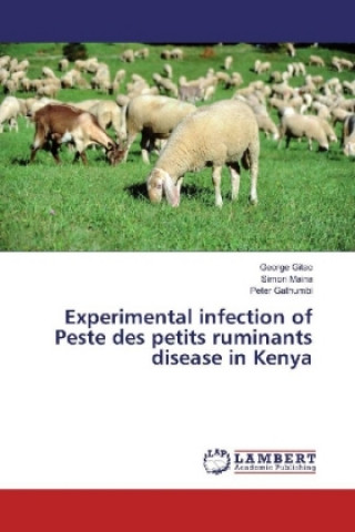 Kniha Experimental infection of Peste des petits ruminants disease in Kenya George Gitao