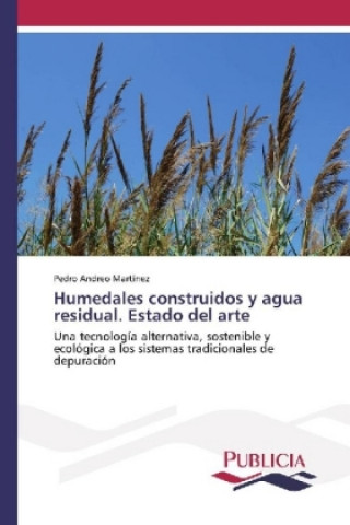Könyv Humedales construidos y agua residual. Estado del arte Pedro Andreo Martínez