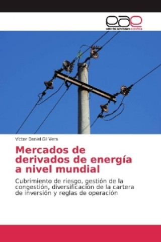 Kniha Mercados de derivados de energía a nivel mundial Víctor Daniel Gil Vera