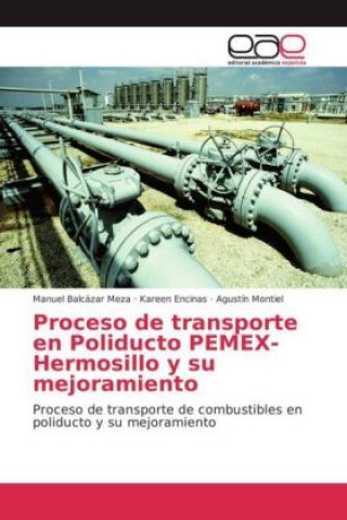 Kniha Proceso de transporte en Poliducto PEMEX-Hermosillo y su mejoramiento Manuel Balcázar Meza