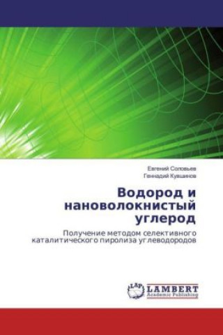 Kniha Vodorod i nanovoloknistyj uglerod Evgenij Solov'ev