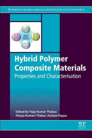 Könyv Hybrid Polymer Composite Materials Manju Kumari Thakur