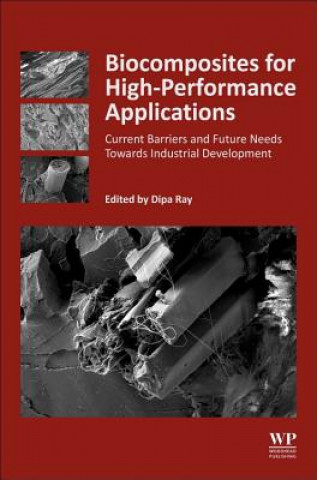 Buch Biocomposites for High-Performance Applications Dipa Ray