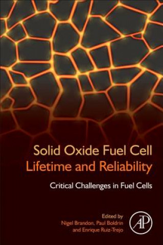 Kniha Solid Oxide Fuel Cell Lifetime and Reliability Nigel Brandon