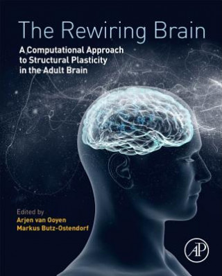 Kniha Rewiring Brain Arjen van Ooyen