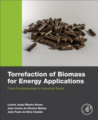 Kniha Torrefaction of Biomass for Energy Applications Nunes