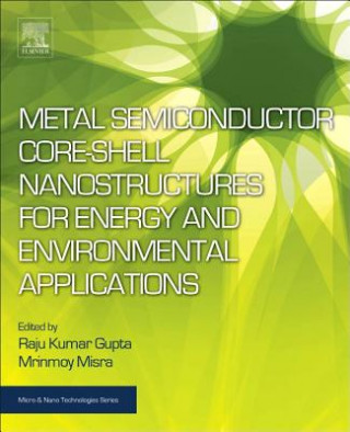 Carte Metal Semiconductor Core-shell Nanostructures for Energy and Environmental Applications Raju Kumar Gupta