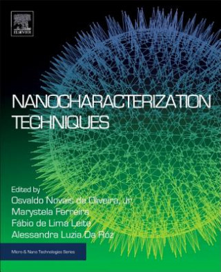 Libro Nanocharacterization Techniques Osvaldo de Oliveira
