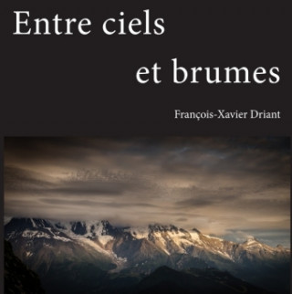 Könyv Entre ciels et brumes François-Xavier Driant