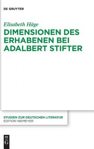 Könyv Dimensionen des Erhabenen bei Adalbert Stifter Elisabeth Häge