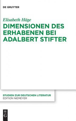 Книга Dimensionen des Erhabenen bei Adalbert Stifter Elisabeth Häge