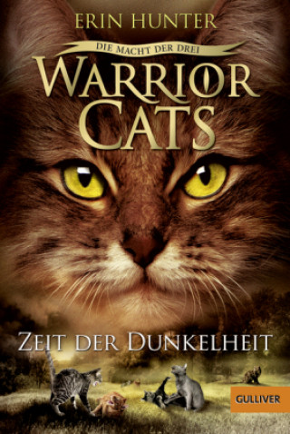 Carte Warrior Cats - Die Macht der drei. Zeit der Dunkelheit Erin Hunter