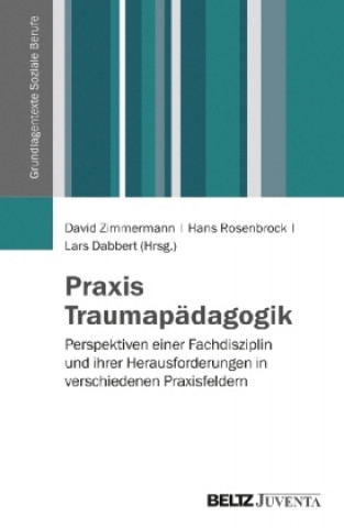 Book Praxis Traumapädagogik David Zimmermann