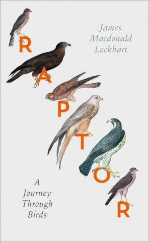 Buch Raptor James Macdonald Lockhart