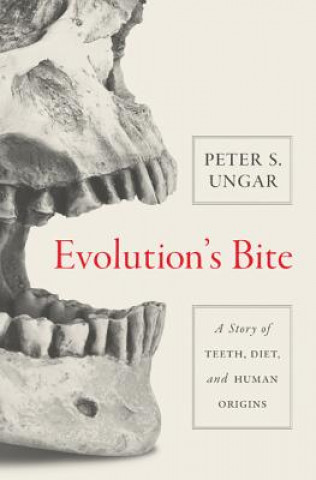 Könyv Evolution's Bite Peter S. Ungar