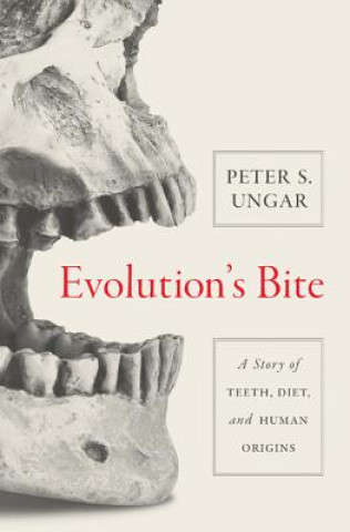 Buch Evolution's Bite Peter S. Ungar