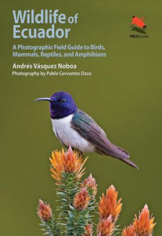 Knjiga Wildlife of Ecuador Andres Vasquez Noboa