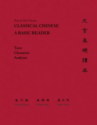 Książka Classical Chinese Naiying Yuan