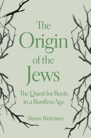 Книга Origin of the Jews Steven Weitzman