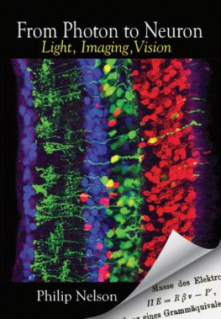 Carte From Photon to Neuron Philip Nelson