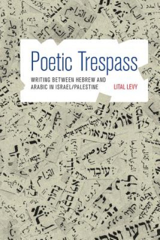 Buch Poetic Trespass Lital Levy