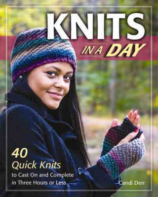 Book Knits in a Day Anna Johnson