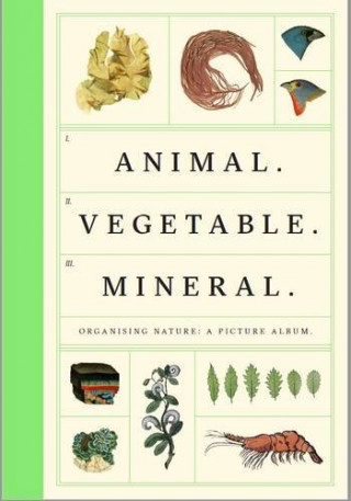 Kniha Animal Vegetable Mineral Tim Dee