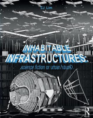 Книга Inhabitable Infrastructures LIM