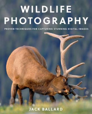 Könyv Wildlife Photography Jack Ballard